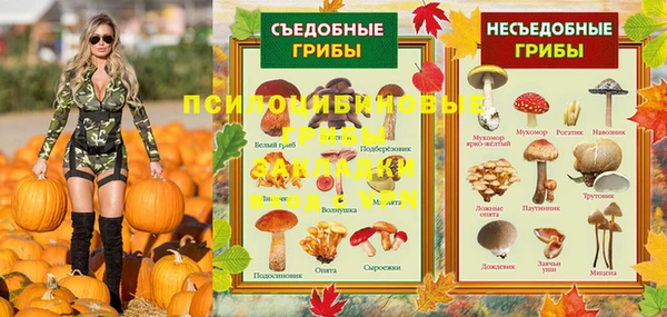 ПСИЛОЦИБИНОВЫЕ ГРИБЫ Абинск